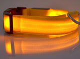 Pet Product - LED Night Safety Dog Collar