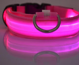 Pet Product - LED Night Safety Dog Collar