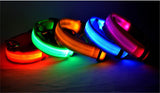 Pet Product - LED Night Safety Dog Collar